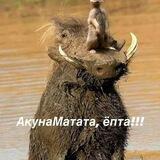 Акуна матата!!.😉😜😊😍