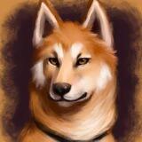 Hachiko Inu Community