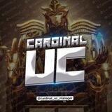 CARDINAL ISHONCHLI UC 🔥