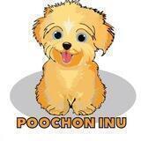 Poochon Inu ($POOINU)