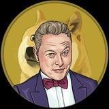 Elon Musk Token - Renounced contract - Lp locked 365 days 🔥