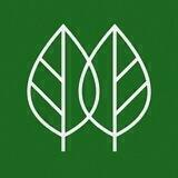 Green Touch Studio 🌿