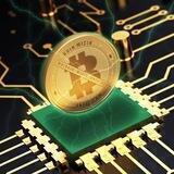KOIN MICIN Anti Scam