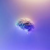 🧠 AI in Medical Sciences