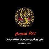 سریال کبری کای | سریال کبرا کای |Cobra Kai