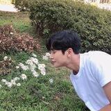 KIM ROWOON