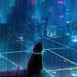 City