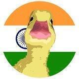 Duckereum — Indian 🇮🇳