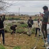 Dispositivos orgónicos y conciencia del éter