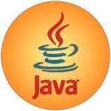 Java Geek