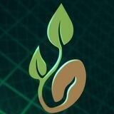 SEED NETWORK