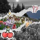 𝗖ollard 𝗦tore 𖧧🎋