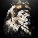 پادشاه بورس👑(مهدی)