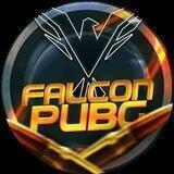 FALCON PUBG❤️