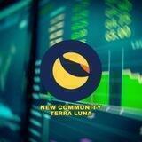 New Community Terra Luna | Official