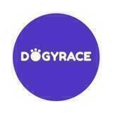 Dogyrace news 🎯🐕‍🦺