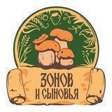 Зонов и сыновья