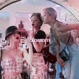 の:🫀: 𝘣𝘭𝘰𝘴𝘴𝘰𝘮' 𝘧𝘢𝘮.˳⁺