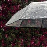 [ رَٰسَــٰائلٌٓ قَـصِيرَٰةٌٖ ]