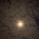مَشٍأّعٌڒٍ مَبِعٌثّڒٍهِ❥