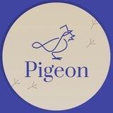 Pigeon