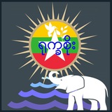 ရုက္ခစိုးရုပ်သံ