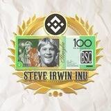 Steve Irwin Inu - Official