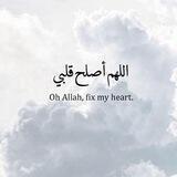 كُنْ نَافِعَاً أينَمَا كُنْتْ