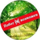 Туры по России