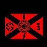 Nsfvettchat