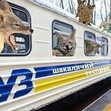 Шакалячий Експрес 🇺🇦 18✙
