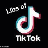 Libs of TikTok Mirror