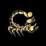 Scorpion Casino 🦂