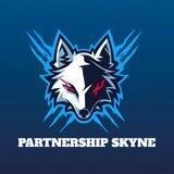 Partnership SKYNE