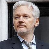 Julian Assange Livestream