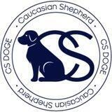 CS DOGE Discussion [ OFFICIAL ]
