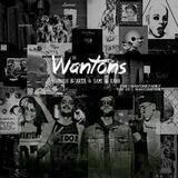 Wantons | وانتونز