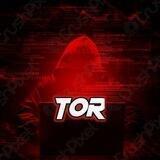 @torisking Scammer