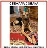 Мира дома!