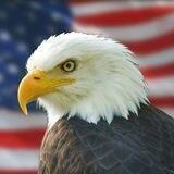 Defense Of Freedom 🇺🇸