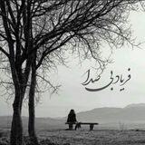 فریاد بی صدا
