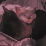 Pishi