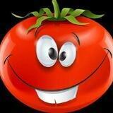 ستور طماطم الدولي🍅