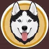 NEXT HUSKY