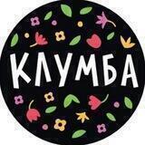 Клумба - Цветы, Растения, Розы