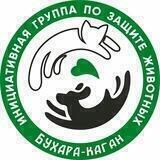 🐶🐱🦮ЗООВОЛОНТЁРЫ БУХАРА-КАГАН🪢