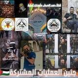 مناقشات جنين العمليات المشتركة