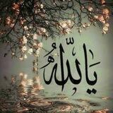 ❤️عکس ویدیو های اسلامی❤️‍🔥