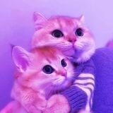 ƊƏƴƏɌ𑀉İᱬ𐍃ƏƝ💌