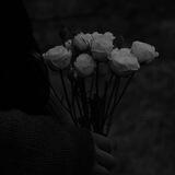 -MOHI WITCH